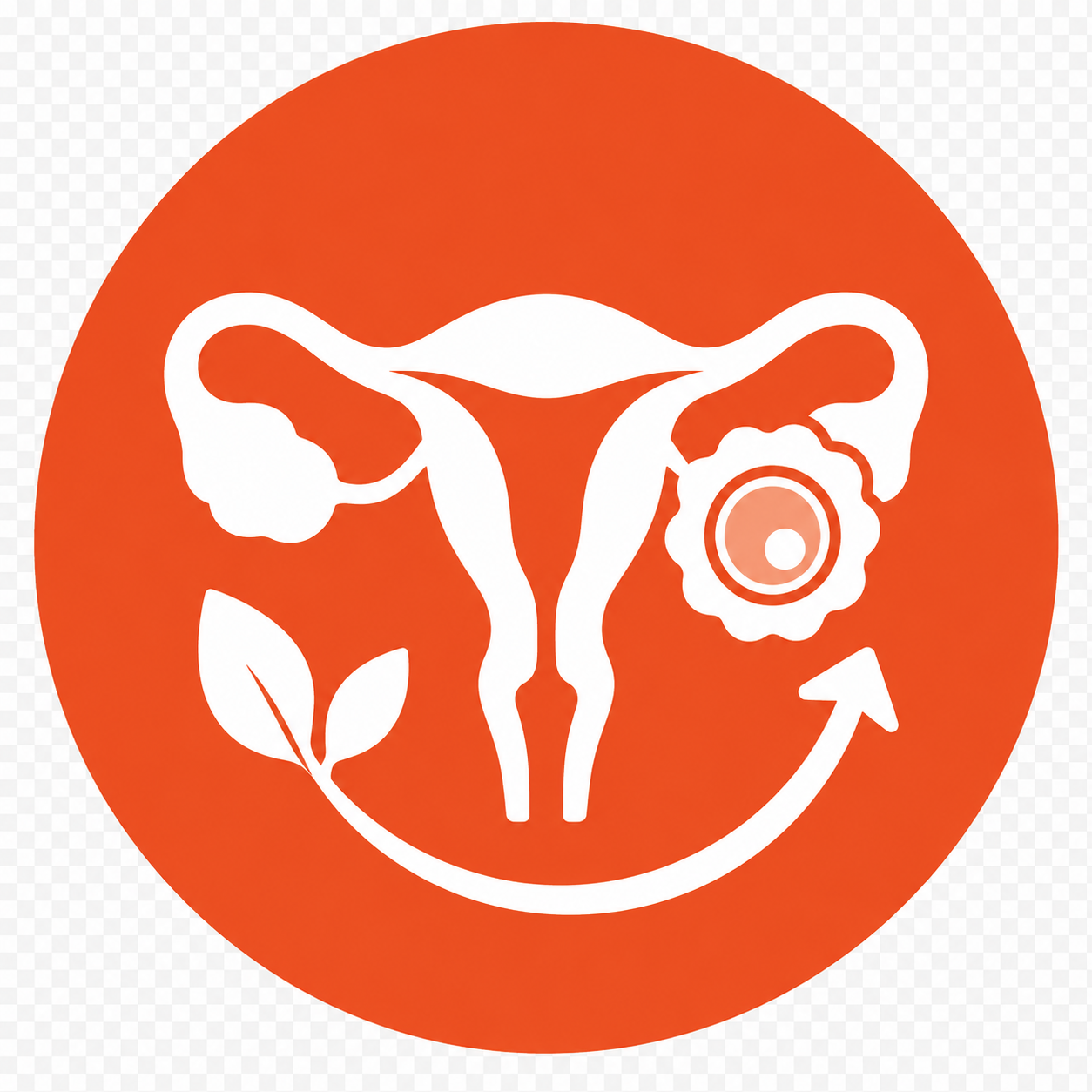 Natural Cycle IVF
